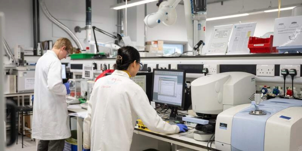 Chemistry students in laboratories